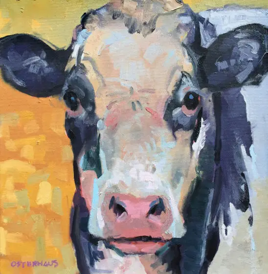 Cow Portrait 